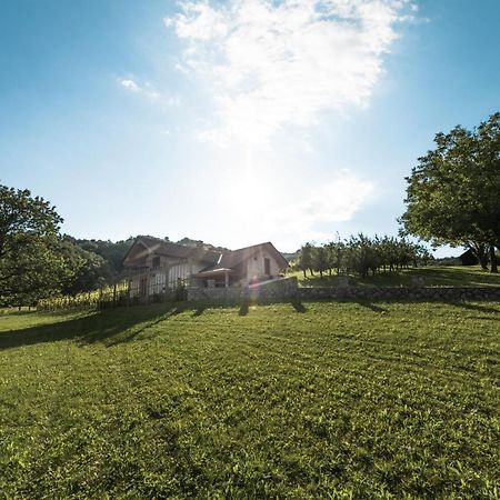 Vineyard Cottage Radulja Smarjeske Toplice ภายนอก รูปภาพ