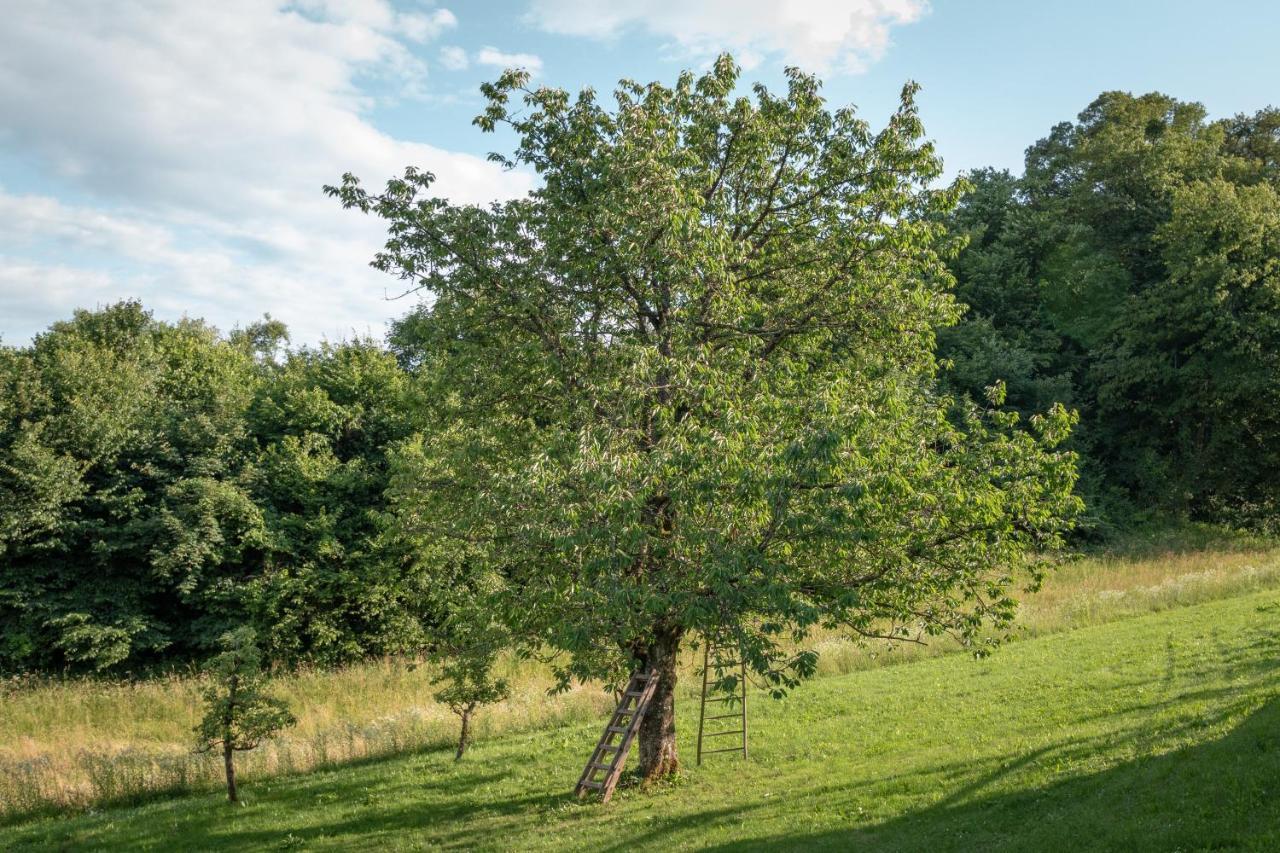 Vineyard Cottage Radulja Smarjeske Toplice ภายนอก รูปภาพ