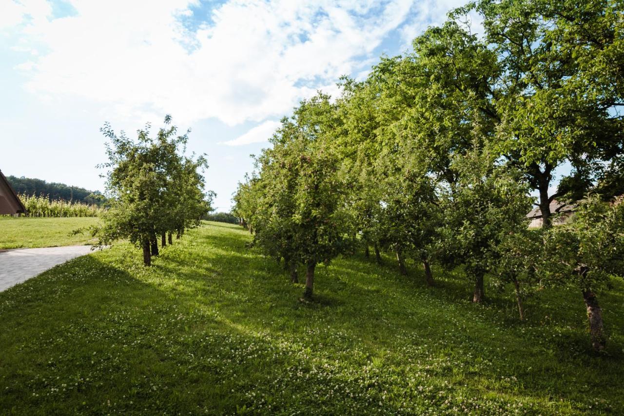 Vineyard Cottage Radulja Smarjeske Toplice ภายนอก รูปภาพ