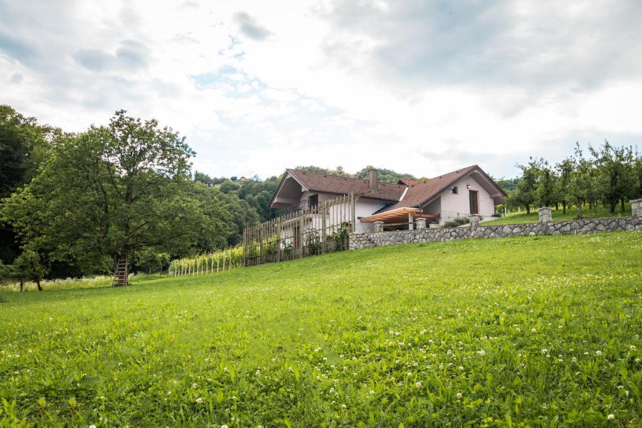 Vineyard Cottage Radulja Smarjeske Toplice ภายนอก รูปภาพ