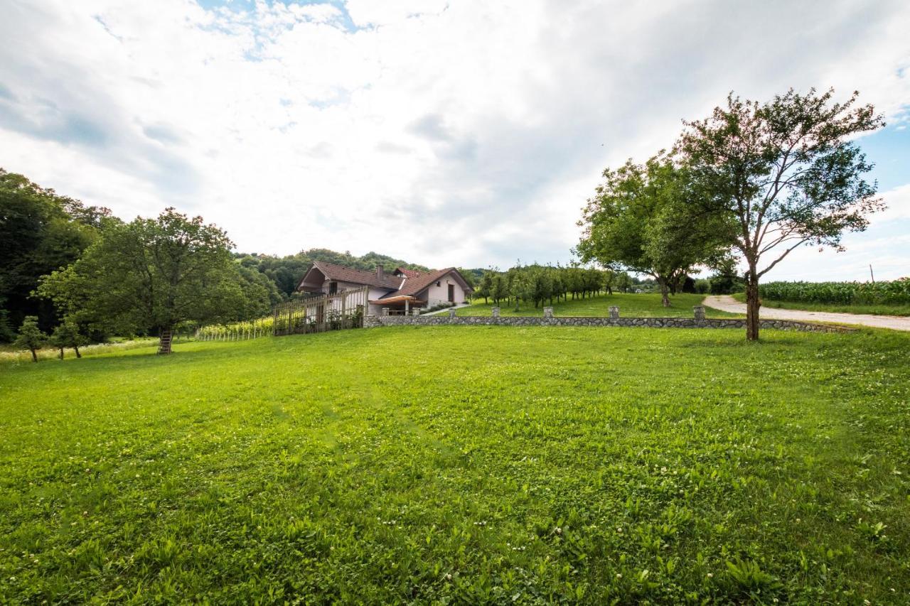 Vineyard Cottage Radulja Smarjeske Toplice ภายนอก รูปภาพ