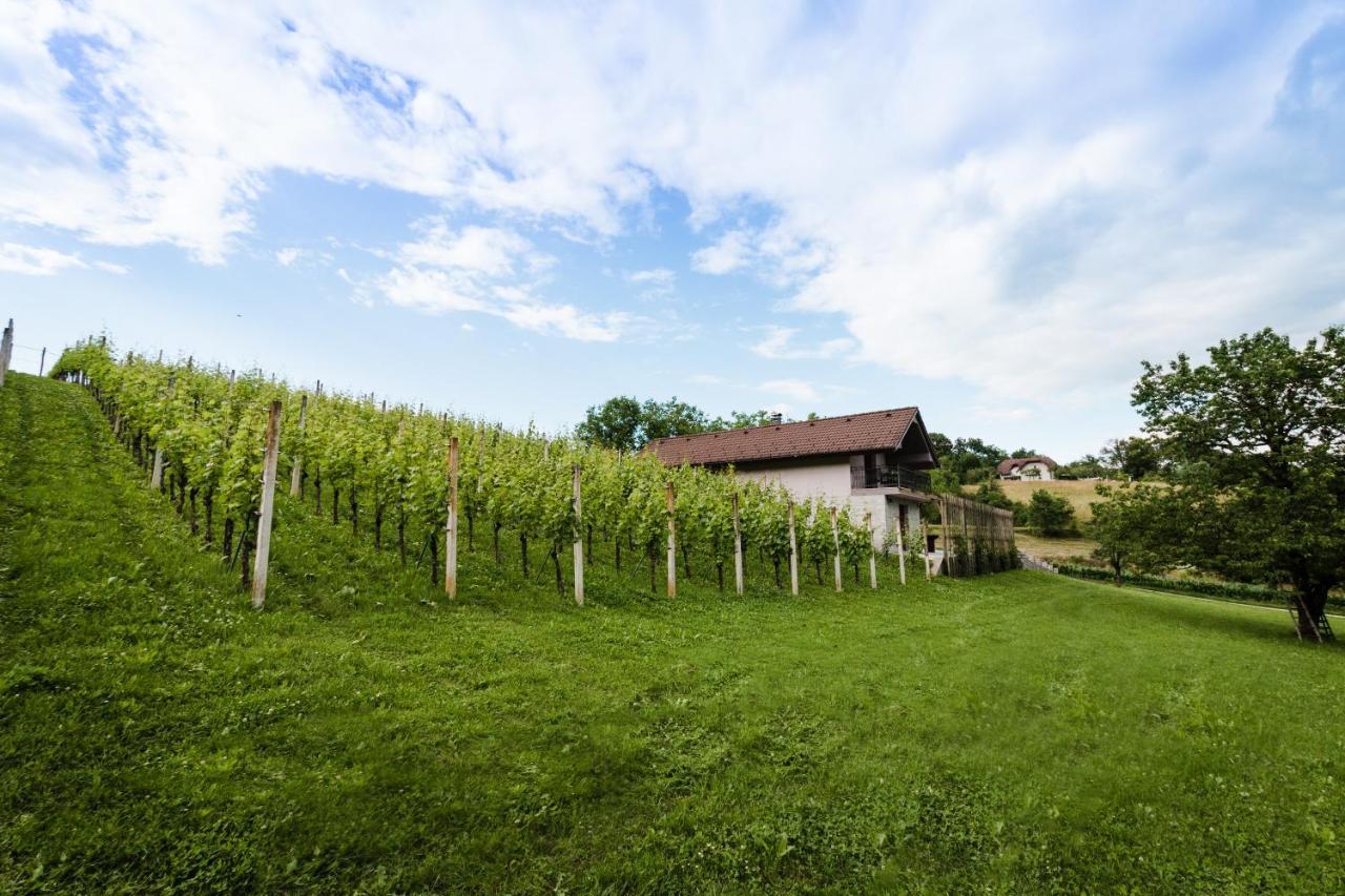 Vineyard Cottage Radulja Smarjeske Toplice ภายนอก รูปภาพ